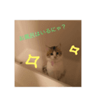 そらちお（個別スタンプ：5）