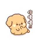 Sweet House - Poodle Teddy's daily life（個別スタンプ：1）