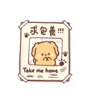 Sweet House - Poodle Teddy's daily life（個別スタンプ：9）
