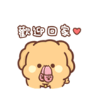 Sweet House - Poodle Teddy's daily life（個別スタンプ：33）
