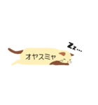 毎日使える！しっぽのふきだし_ねこ編（個別スタンプ：37）