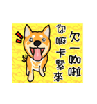 Big collection of cute dogs（個別スタンプ：10）