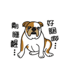 Big collection of cute dogs（個別スタンプ：12）