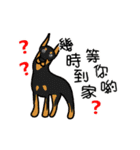 Big collection of cute dogs（個別スタンプ：17）