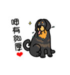 Big collection of cute dogs（個別スタンプ：19）