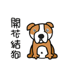 Big collection of cute dogs（個別スタンプ：21）