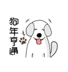 Big collection of cute dogs（個別スタンプ：24）