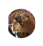 タルト日常挨拶（個別スタンプ：2）