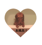 タルト日常挨拶（個別スタンプ：3）