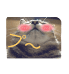 ももcat3（個別スタンプ：4）