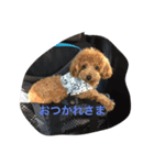 デール（個別スタンプ：4）