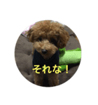 デール（個別スタンプ：5）