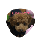 デール（個別スタンプ：7）