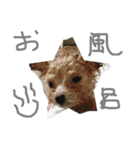 たむるぅ2（個別スタンプ：8）