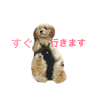 たむるぅ2（個別スタンプ：9）