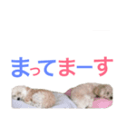 たむるぅ2（個別スタンプ：14）