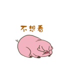 Cute Pig touch（個別スタンプ：1）