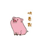 Cute Pig touch（個別スタンプ：2）