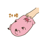 Cute Pig touch（個別スタンプ：5）