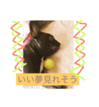 フレンチブルドッグあられの日常その1（個別スタンプ：4）