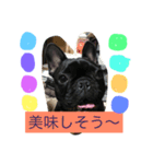 フレンチブルドッグあられの日常その1（個別スタンプ：9）