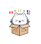 Mantou Cat（個別スタンプ：6）