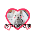 フレブルバズの日常（個別スタンプ：3）