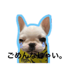 フレブルバズの日常（個別スタンプ：9）