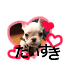 フレブルバズの日常（個別スタンプ：10）