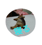 reoreoreochanPart2（個別スタンプ：1）
