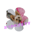 reoreoreochanPart2（個別スタンプ：2）