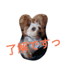 reoreoreochanPart2（個別スタンプ：3）