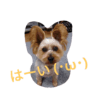 reoreoreochanPart2（個別スタンプ：4）