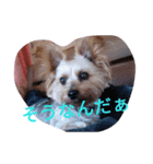 reoreoreochanPart2（個別スタンプ：5）