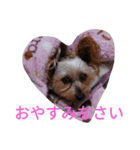 reoreoreochanPart2（個別スタンプ：6）