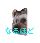 reoreoreochanPart2（個別スタンプ：7）