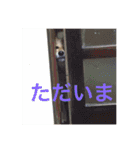 愛犬みかんちゃん（個別スタンプ：5）