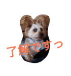 reoreoreochan2（個別スタンプ：6）