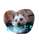 reoreoreochan2（個別スタンプ：8）
