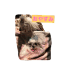 オッキキちゃん（個別スタンプ：1）