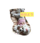 オッキキちゃん（個別スタンプ：2）