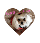 オッキキちゃん（個別スタンプ：3）