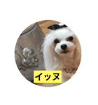 オッキキちゃん（個別スタンプ：4）