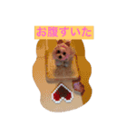 オッキキちゃん（個別スタンプ：6）