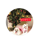 オッキキちゃん（個別スタンプ：7）