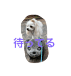 オッキキちゃん（個別スタンプ：11）