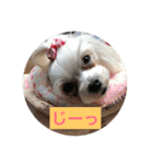 オッキキちゃん（個別スタンプ：17）