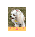オッキキちゃん（個別スタンプ：23）