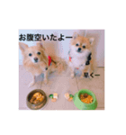 ポロ＆トイ（個別スタンプ：2）