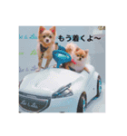 ポロ＆トイ（個別スタンプ：10）